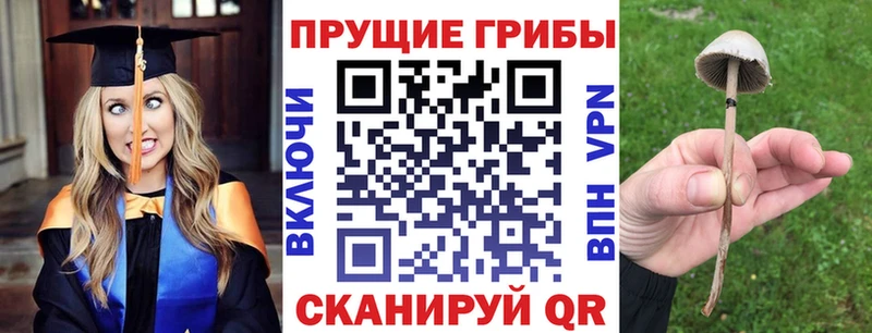 Псилоцибиновые грибы Psilocybine cubensis Купить закладки Мурманск